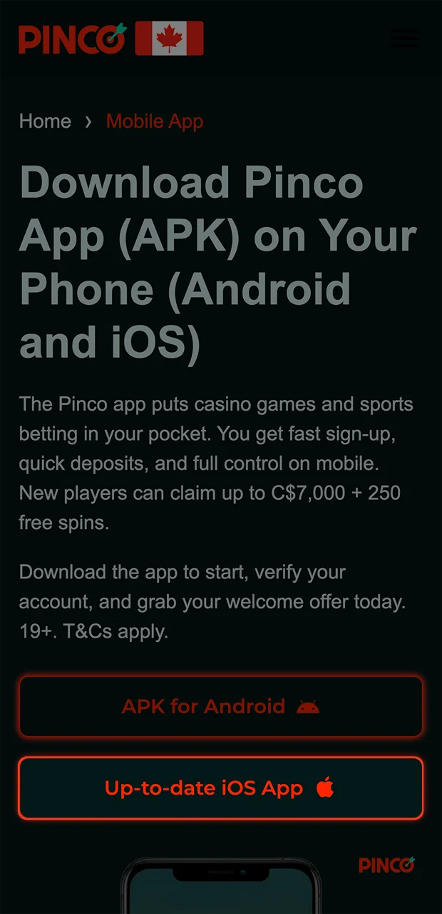 Select the iOS button to begin installing the Pinco application.