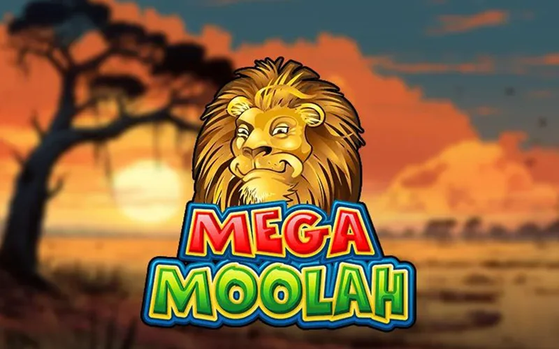 Mega Moolah is a lucrative game with a colourful interface, available on the Pinco website.