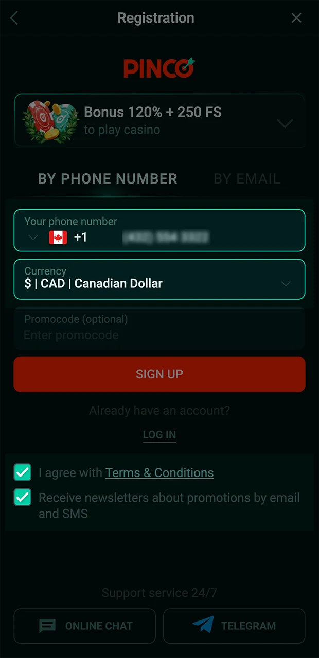 Please take care when filling out the registration form on the Pinco website.