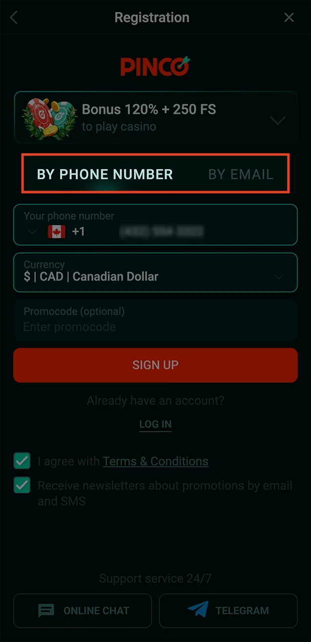 Choose the method of registration with Pinco that is most convenient and quick for you.
