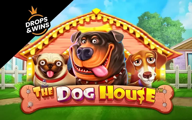 Achieve high scores in The Dog House game on the Pinco website.